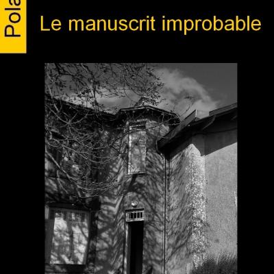 Le manuscrit improbable, Patrick Amand