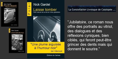 Laisse tomber constelletion livresque cassipee