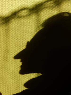 Laurence biberfeld site