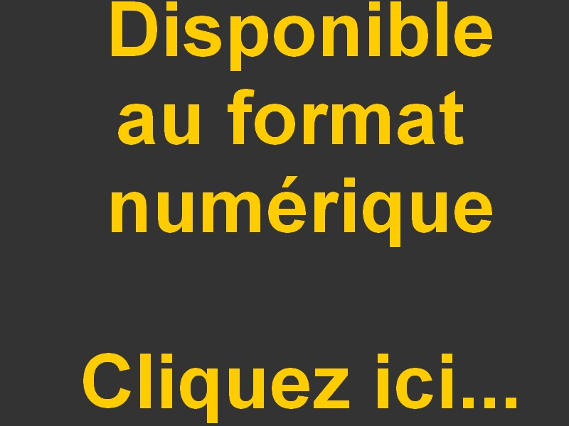 Logo numerique 1